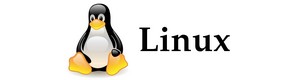 agence web innovation partners spcialiste linux